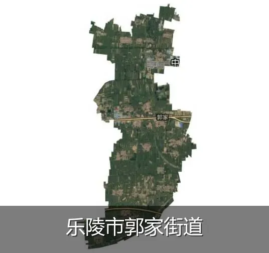 乐陵市郭家街道