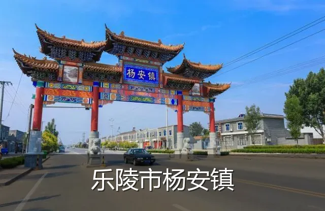 乐陵市杨安镇