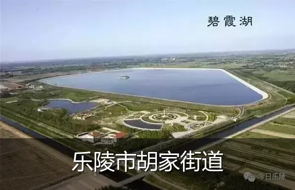 乐陵市胡家街道